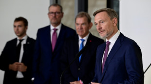 FDP-Chef Lindner setzt Gespräche mit Wirtschaftsvertretern fort