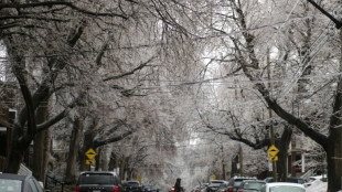 Quebec ice storm leaves two dead, million without power
