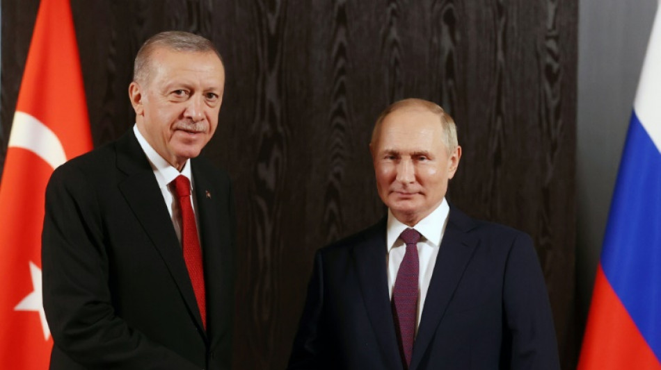 Turkey calls for Russia, Ukraine truce ahead of Erdogan-Putin meeting