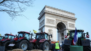 French farmers protest near Paris's Arc de Triomphe