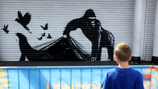 Banksy lifts curtain on London animal mural series 