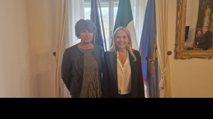 Vertice Sviluppo Lavoro Italia incontra assessore Lavoro Fvg