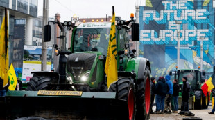 New farmer show of force as EU ministers vow to target red tape