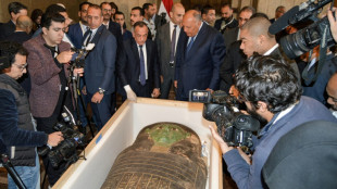 Egypt recovers 2,700-year-old sarcophagus lid from US