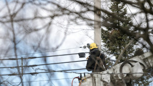 Una provincia de Canadá podría dejar de exportar electricidad a EEUU si Trump impone nuevos aranceles