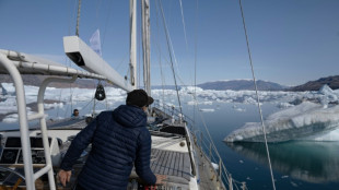 Scientists voyage to Greenland's melting sanctuary