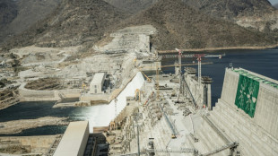 Ethiopia starts generating power at Nile mega-dam