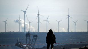 Fixing climate trumps economic woes, threat of war: YouGov survey