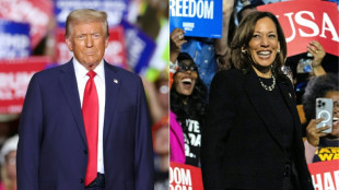 Harris or Trump: America decides in knife-edge election
