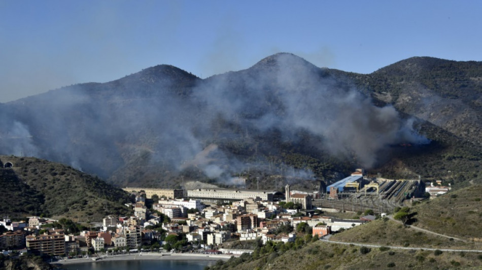 Firefighters contain wildfire near Spanish-French border