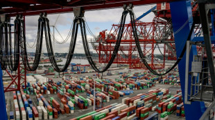 Germany eyes reduced China stake in Hamburg port to end row