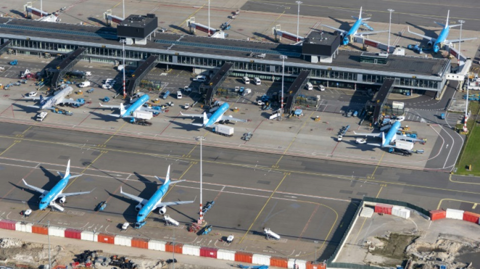 Airlines sue Dutch over Schiphol airport flight cuts