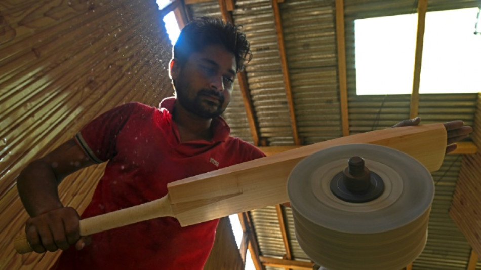 Axed: Rampant logging hits India's batmakers for six