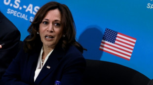 Kamala Harris leads high-level US team to meet new UAE leader