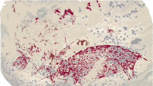 Au moins 50.000 ans: la plus ancienne peinture au monde découverte en Indonésie