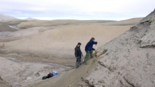 Scientists find 2-million year-old DNA in Greenland