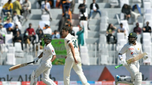 Pakistan lose Shafique after solid start in first Test