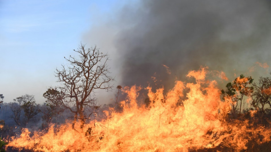 Wildfire hits Brasilia National Park amid drought