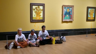 Van Gogh's 'Sunflowers' targeted again with soup in UK after activists jailed