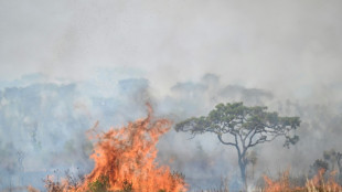 Bombeiros lutam contra chamas que não dão trégua em Brasília