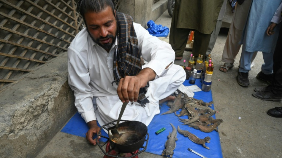 Quack 'aphrodisiac' from lizard a hit in Pakistan