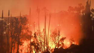 Les incendies se multiplient dans l'Ouest américain, en pleine vague de chaleur