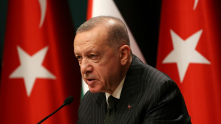 Erdogan challenges Greece over airspace violations 