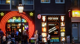 Amsterdam unveils planned site to replace red light district