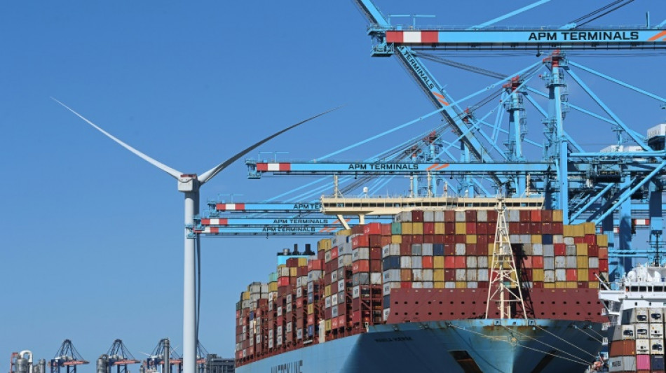 Maersk sees weaker demand for shipping