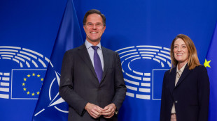 Rutte, per una Nato europea servirebbero 15 anni e l'8% del Pil