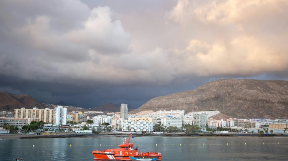 Stowaways who arrived in Spain on rudder returned to ship