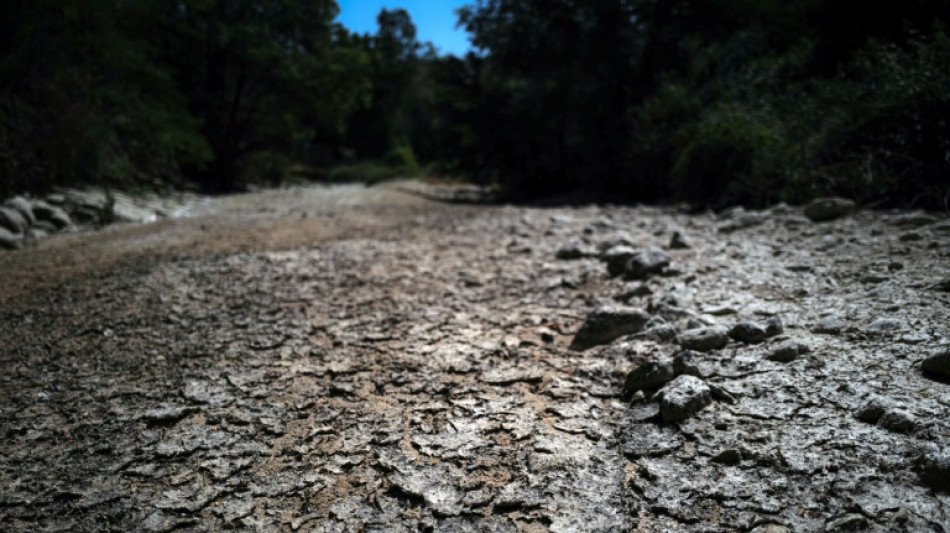 Record number of French regions face water restrictions 