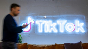 TikTok search results rife with misinformation: report