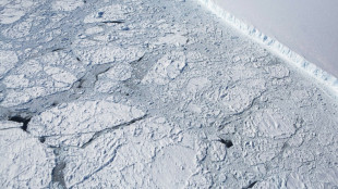 La surface maximale annuelle de la banquise de l'Antarctique n'a jamais été aussi petite