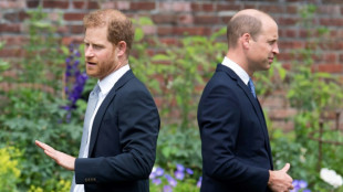 Prince Harry says brother assaulted him, branded Meghan 'rude'