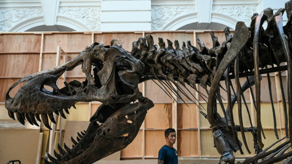 T-rex in Singapore as experts decry 'harmful' auctions