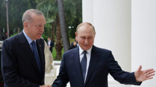 Turkey to pay for some Russian gas in rubles: Erdogan