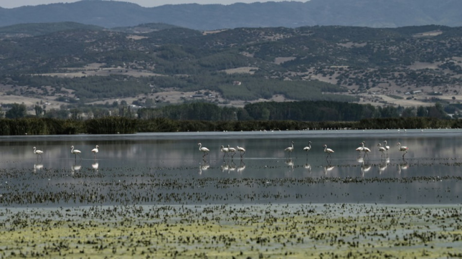 Dans le nord de la Grèce, la puanteur et l'inquiétude autour des lacs asséchés