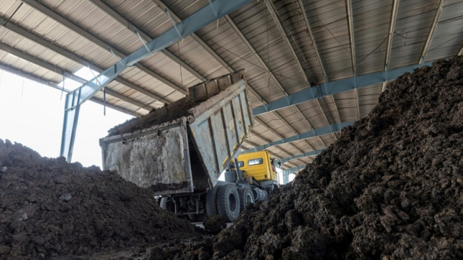 L'Inde mise sur la bouse de vache, une source d'énergie renouvelable prometteuse