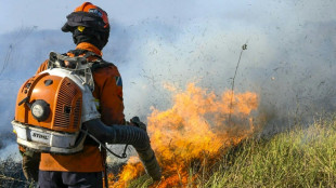 Incendies au Pantanal: état d'urgence dans une région brésilienne