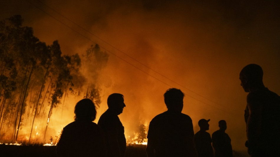 Les incendies au Portugal en passe d'être maîtrisés