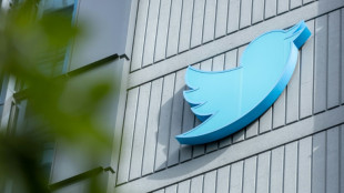 Ex-Twitter worker gets prison time in Saudi 'spy' case