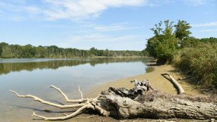 Regain de la canicule en France