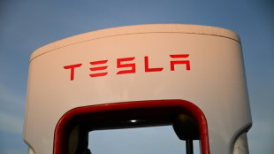 Buffalo workers launch drive to become 1st Tesla union