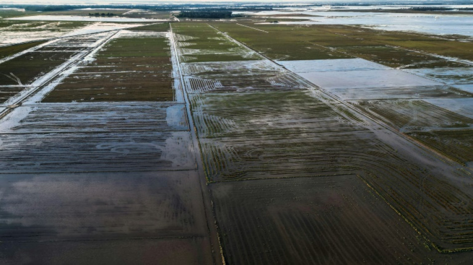 Brasil zera tarifa de importação de arroz após perdas com enchentes