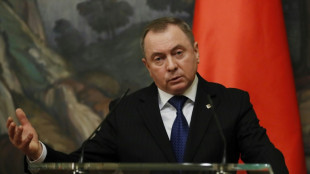 Belarus foreign minister Makei dies: news agency