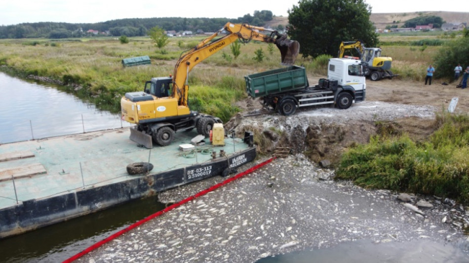 Pollution d'Oder: 100 tonnes de poissons morts repêchés