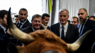 Au chevet des éleveurs, premières annonces agricoles pour le gouvernement Barnier