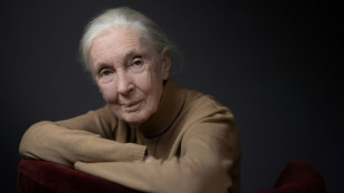 Jane Goodall warns on 'false promises' at UN biodiversity meet