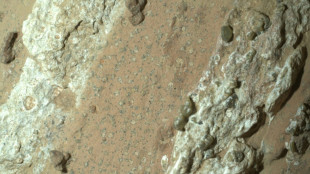 NASA Mars rover captures rock that could hold fossilized microbes